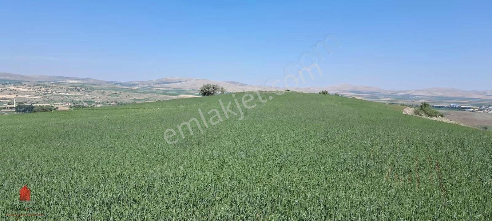 Hesaplı Milyon M2 Meraya Cepheli 12700m2 Satılık Tarla