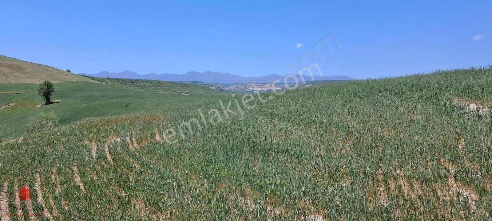 Hesaplı Milyon M2 Meraya Cepheli 12700m2 Satılık Tarla - Görsel 2
