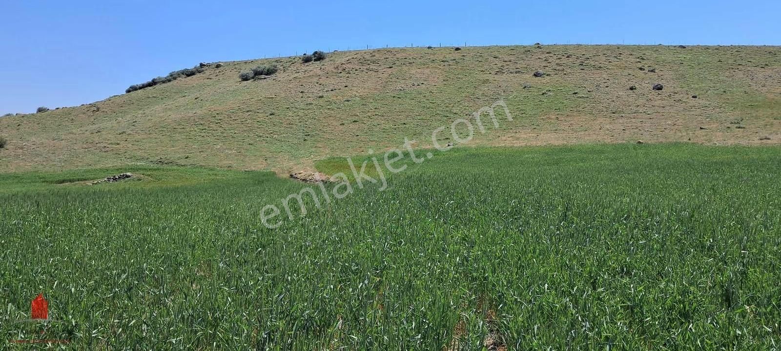 Hesaplı Milyon M2 Meraya Cepheli 12700m2 Satılık Tarla - Görsel 23