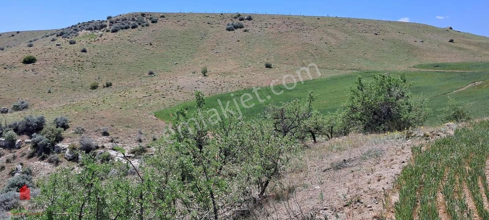Hesaplı Milyon M2 Meraya Cepheli 12700m2 Satılık Tarla - Görsel 12