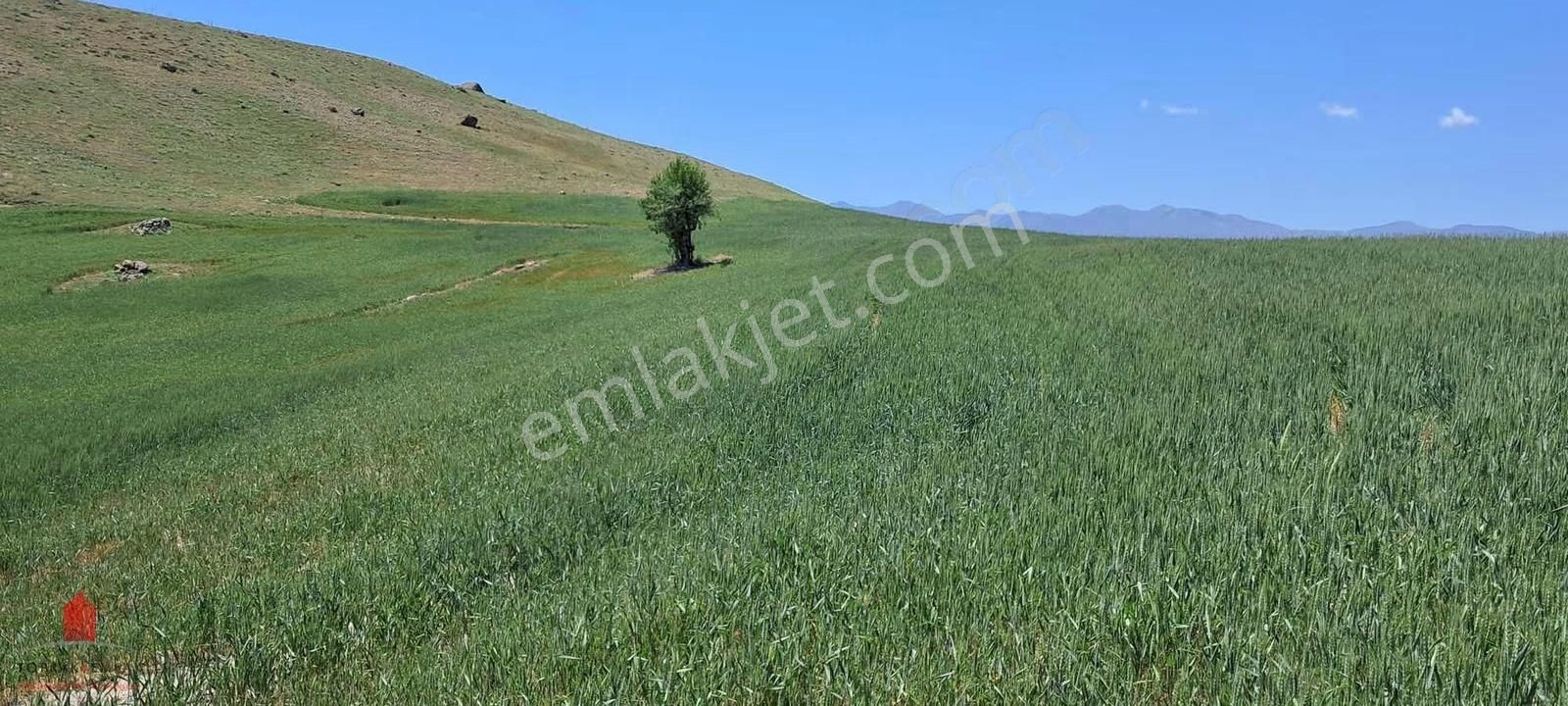 Hesaplı Milyon M2 Meraya Cepheli 12700m2 Satılık Tarla - Görsel 3