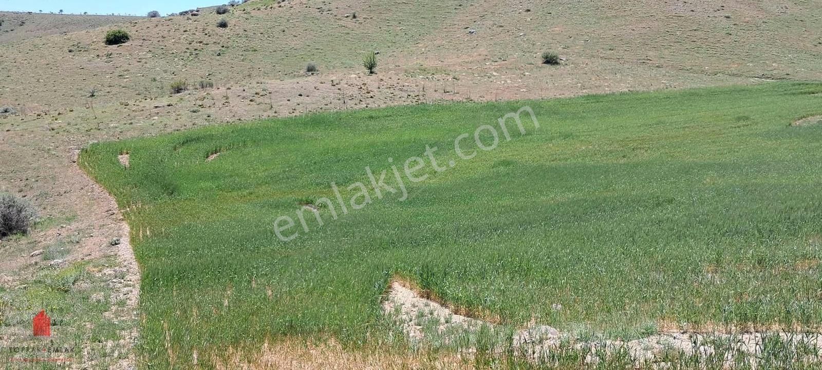 Hesaplı Milyon M2 Meraya Cepheli 12700m2 Satılık Tarla - Görsel 7