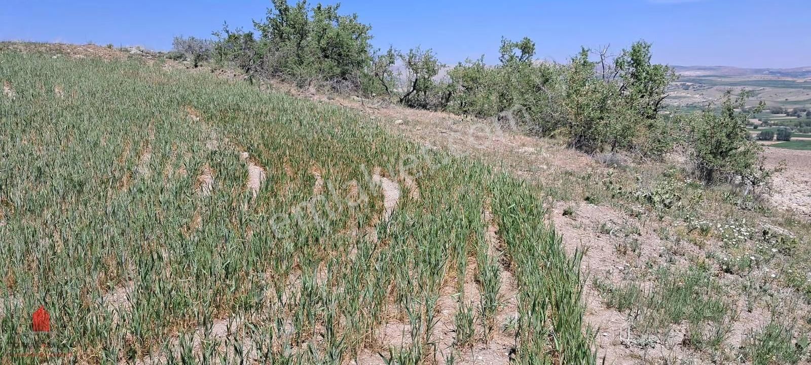 Hesaplı Milyon M2 Meraya Cepheli 12700m2 Satılık Tarla - Görsel 13