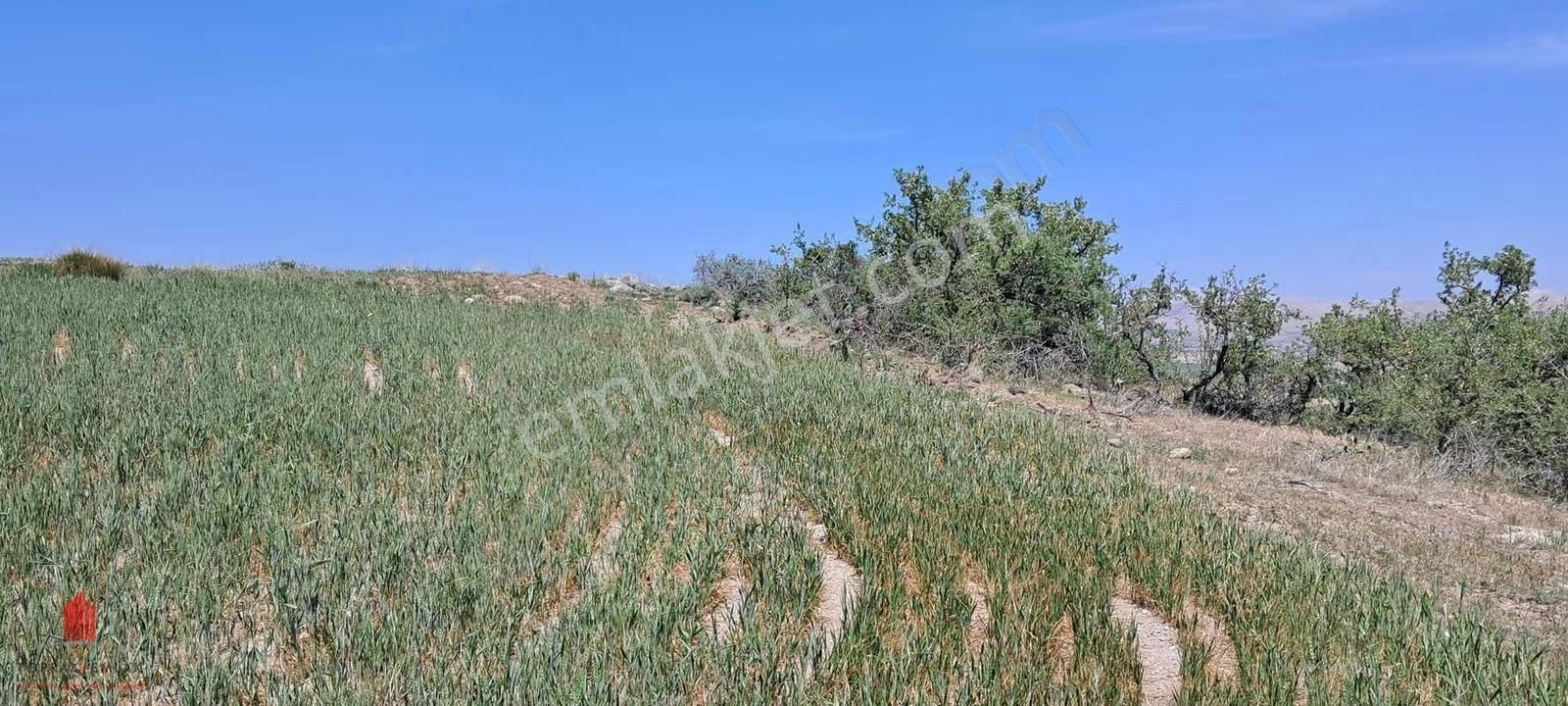 Hesaplı Milyon M2 Meraya Cepheli 12700m2 Satılık Tarla - Görsel 21