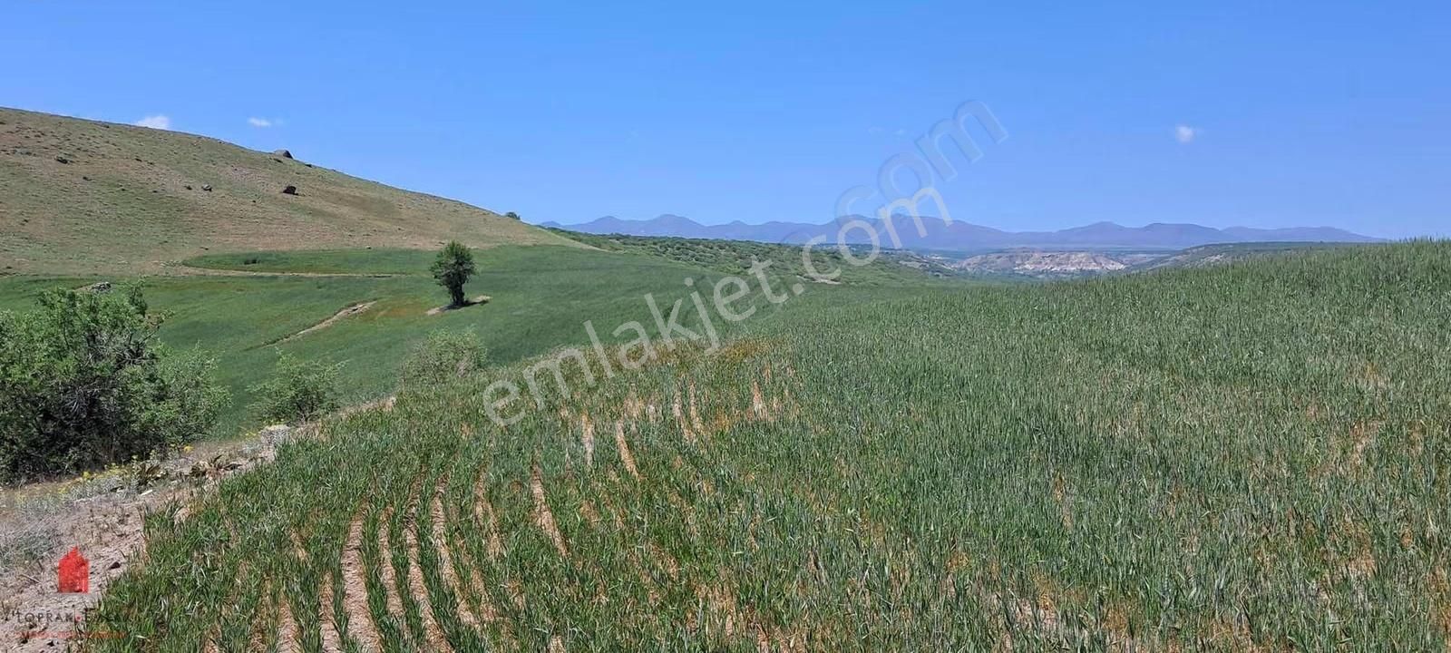 Hesaplı Milyon M2 Meraya Cepheli 12700m2 Satılık Tarla - Görsel 29