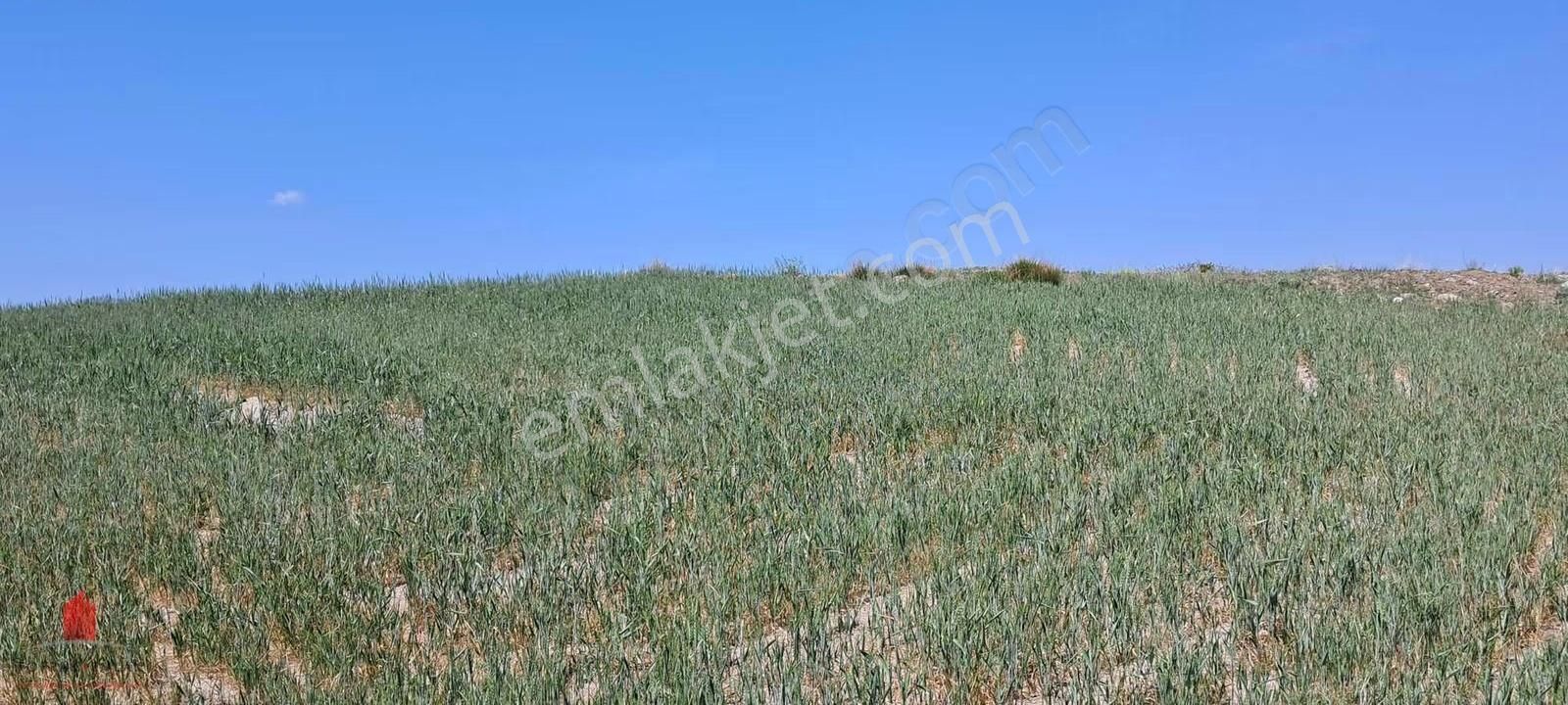Hesaplı Milyon M2 Meraya Cepheli 12700m2 Satılık Tarla - Görsel 32