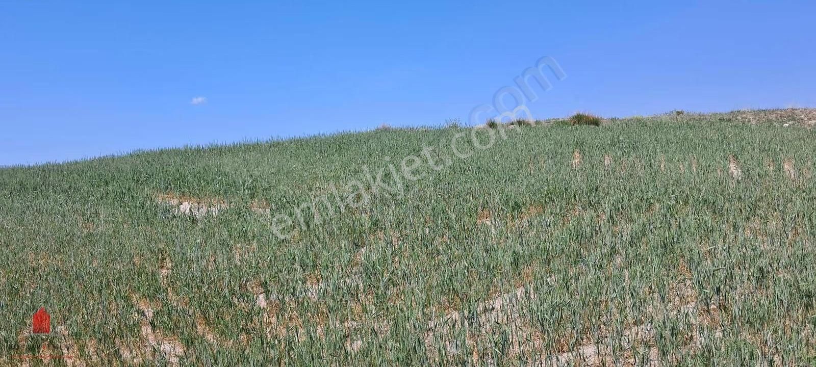 Hesaplı Milyon M2 Meraya Cepheli 12700m2 Satılık Tarla - Görsel 33