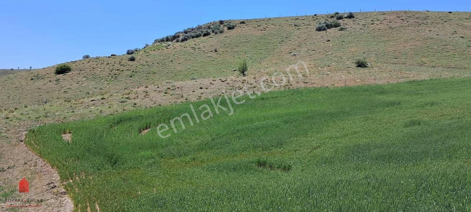 Hesaplı Milyon M2 Meraya Cepheli 12700m2 Satılık Tarla - Görsel 30