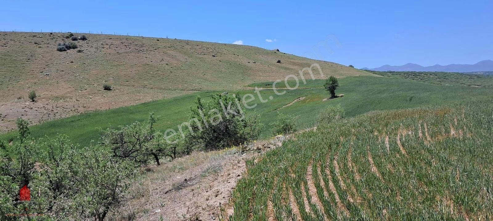 Hesaplı Milyon M2 Meraya Cepheli 12700m2 Satılık Tarla - Görsel 17