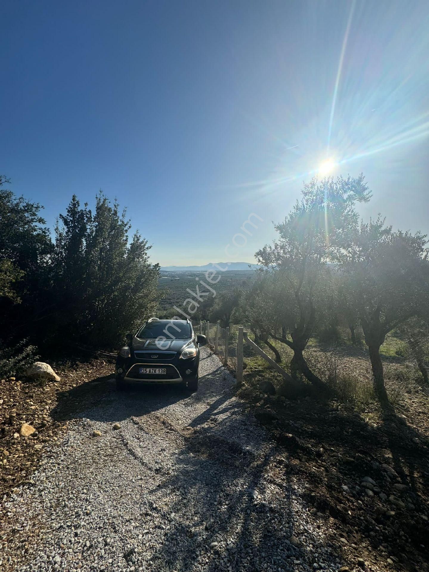 Hüseyin Güneş Den Saipler Köyünde Satılık Tarla - Görsel 2