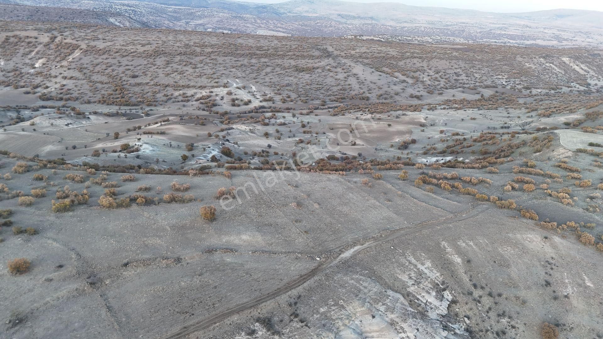 Konya / Meram / Yeşildere Mahallesinde 1.832 M² Müstakil Tapulu Tarla - Görsel 3