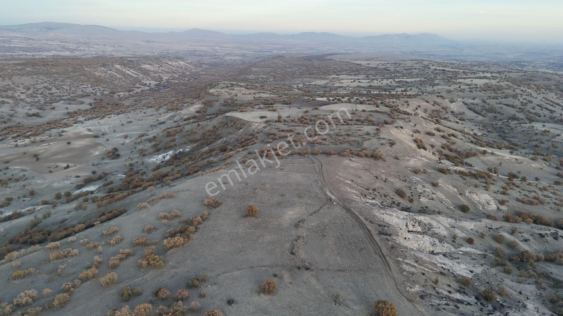 Konya / Meram / Yeşildere Mahallesinde 1.832 M² Müstakil Tapulu Tarla - Görsel 2