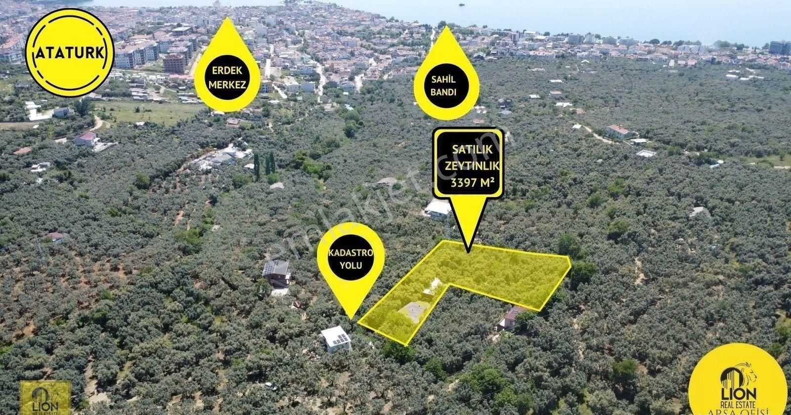 🟨⬛lıon Emlak'tan Balıkesir Erdek Atatürk Mahallesinde 3397 M² Satılık Zeytinlik⬛🟨