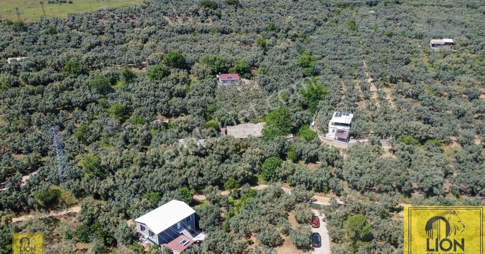 🟨⬛lıon Emlak'tan Balıkesir Erdek Atatürk Mahallesinde 3397 M² Satılık Zeytinlik⬛🟨 - Görsel 10