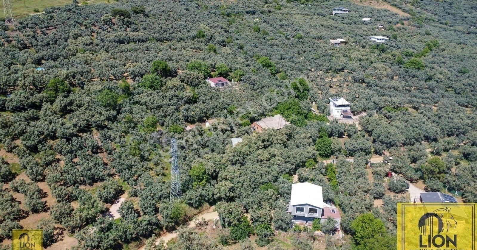 🟨⬛lıon Emlak'tan Balıkesir Erdek Atatürk Mahallesinde 3397 M² Satılık Zeytinlik⬛🟨 - Görsel 8