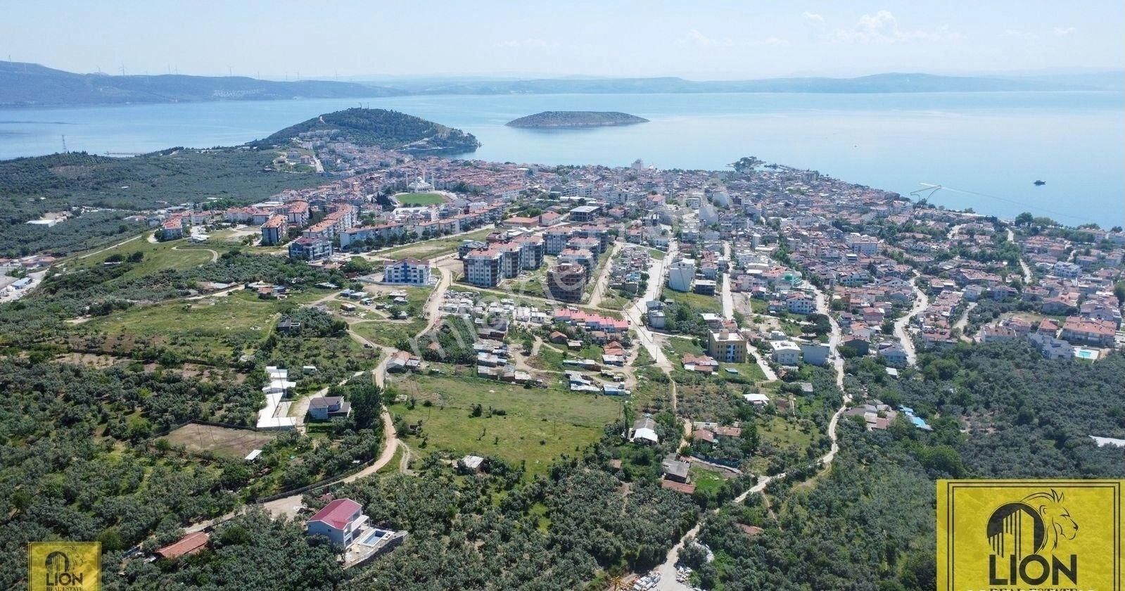🟨⬛lıon Emlak'tan Balıkesir Erdek Atatürk Mahallesinde 3397 M² Satılık Zeytinlik⬛🟨 - Görsel 5
