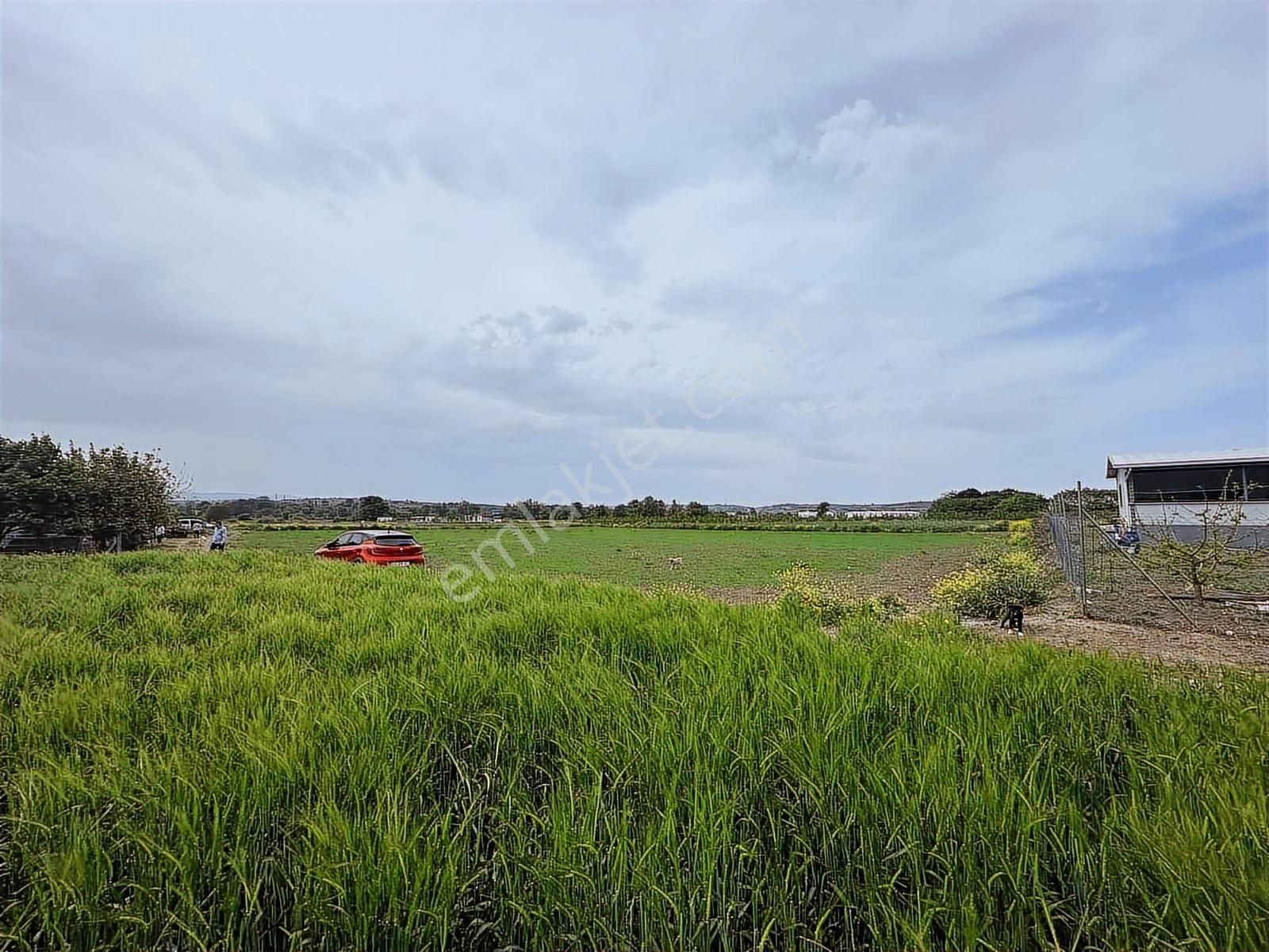 Pw Plus 'tan Balabancık 'ta Müstakil Tapulu Tarla - Görsel 8