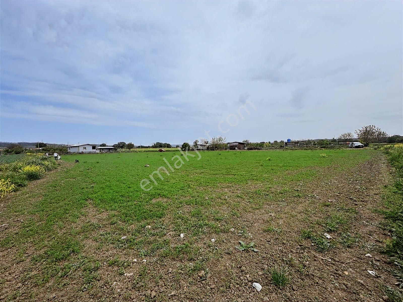 Pw Plus 'tan Balabancık 'ta Müstakil Tapulu Tarla - Görsel 11