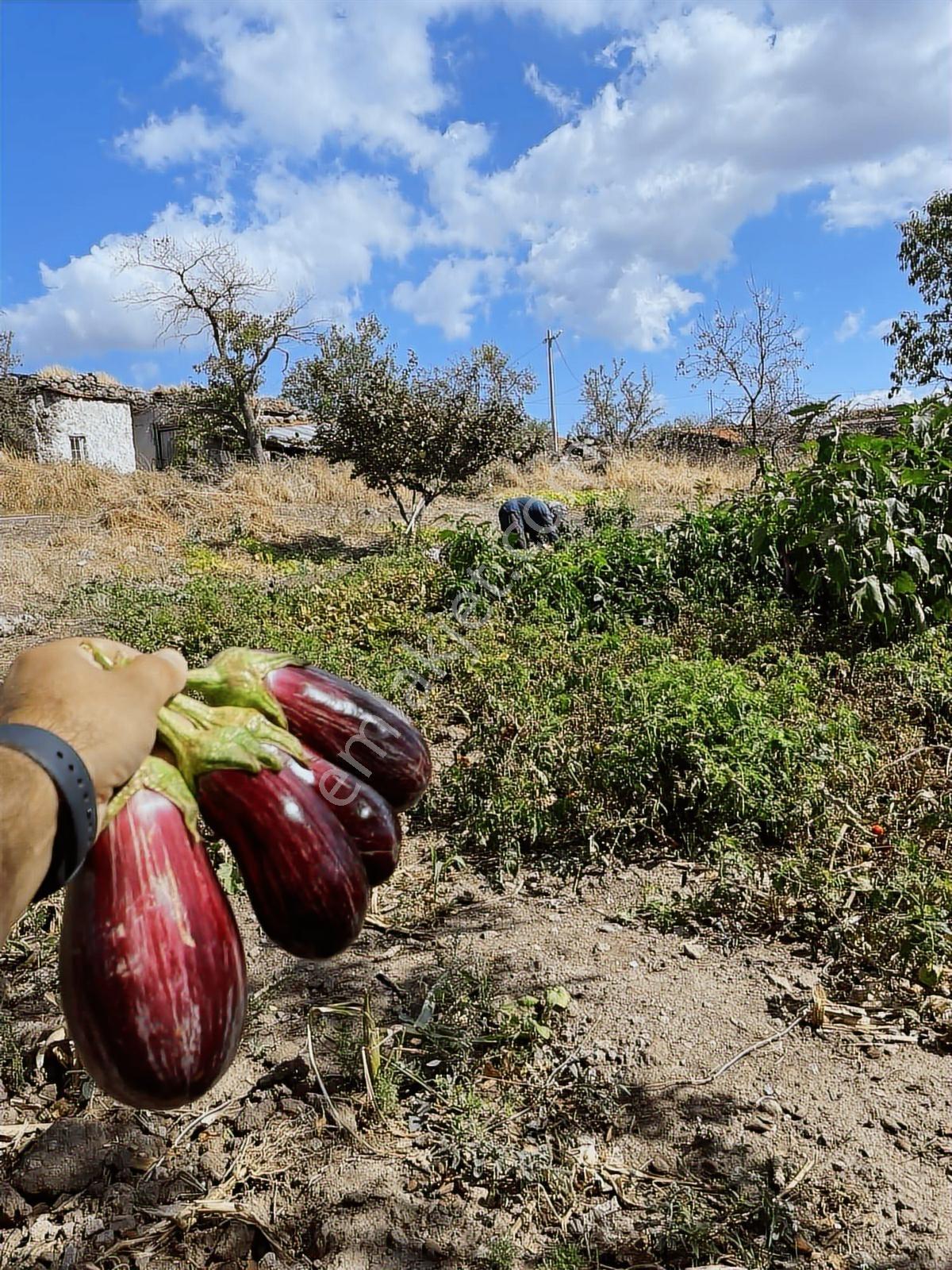 Bergamanın Saklı Köyü Avunduk'ta %50 2 Kat İmarlı Arsa - Görsel 6
