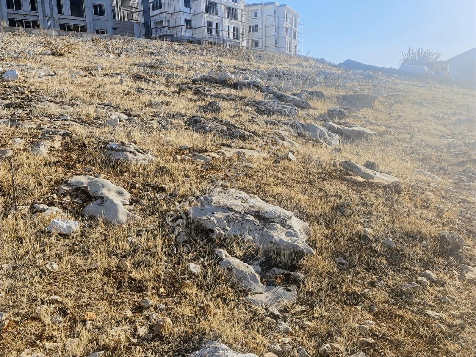 Gedikte Satılık Malatya Manzaralı Arsa 788 M2 Fırsat Arsa - Görsel 4
