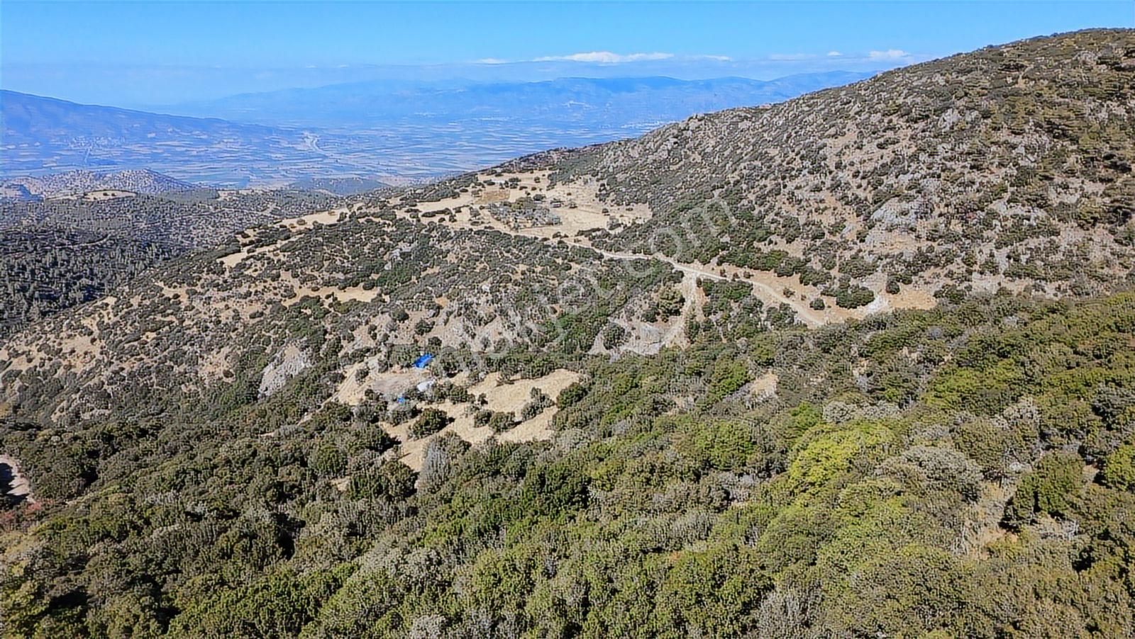 Aydın Nazilli 4757 M2 Satılık Bağ Nitekli Arazi - Görsel 15
