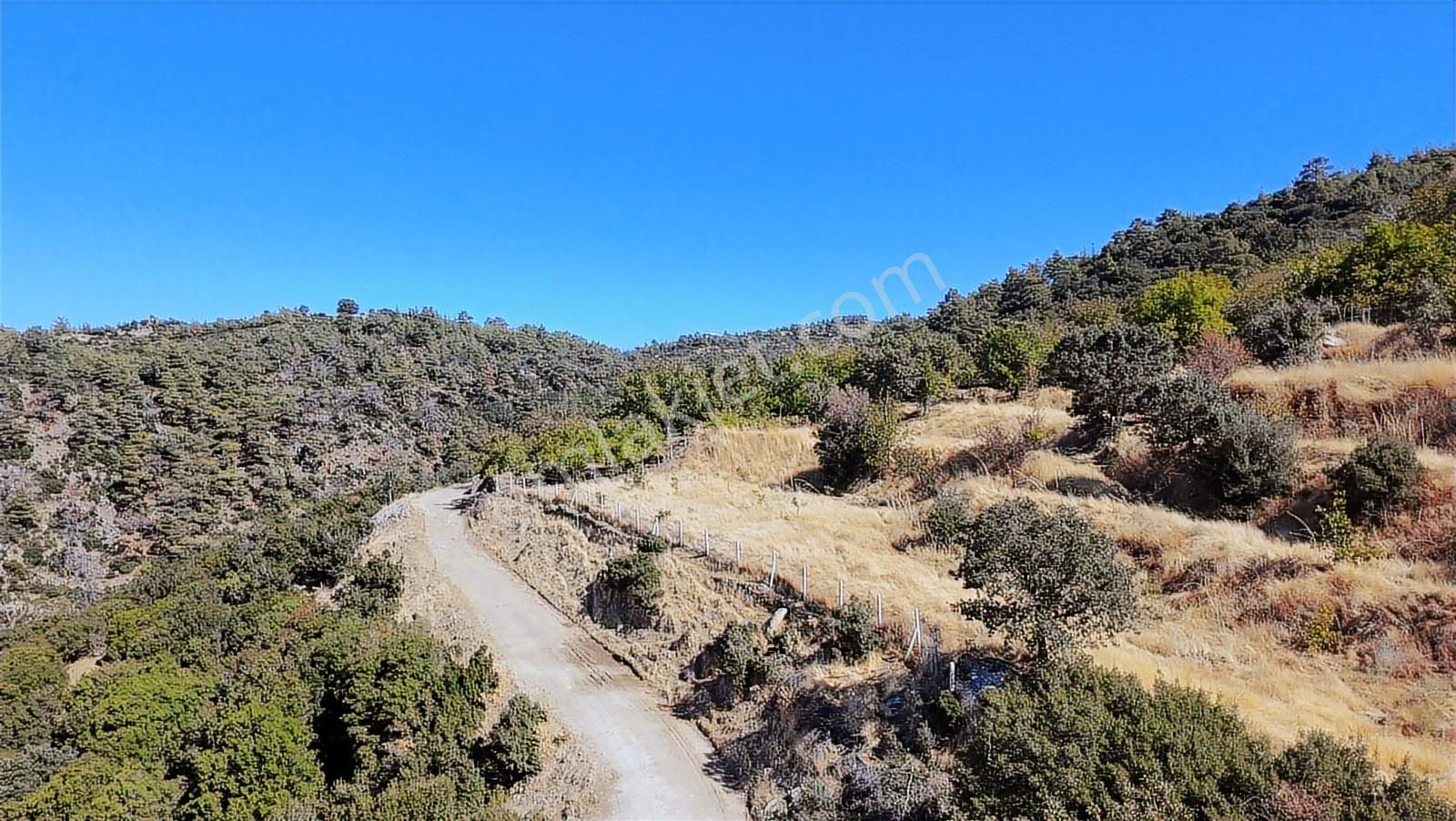 Aydın Nazilli 4757 M2 Satılık Bağ Nitekli Arazi - Görsel 3