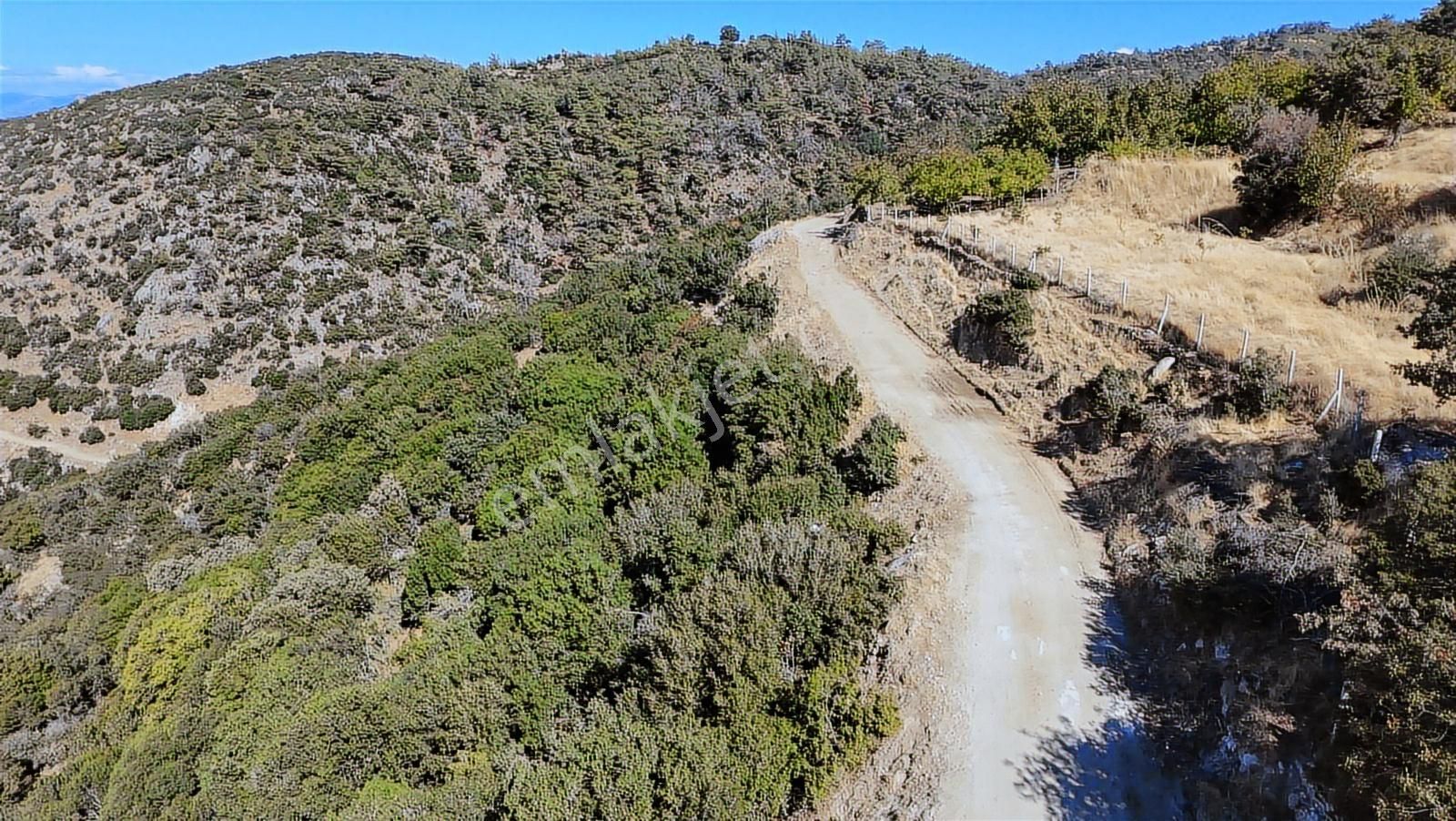 Aydın Nazilli 4757 M2 Satılık Bağ Nitekli Arazi - Görsel 4