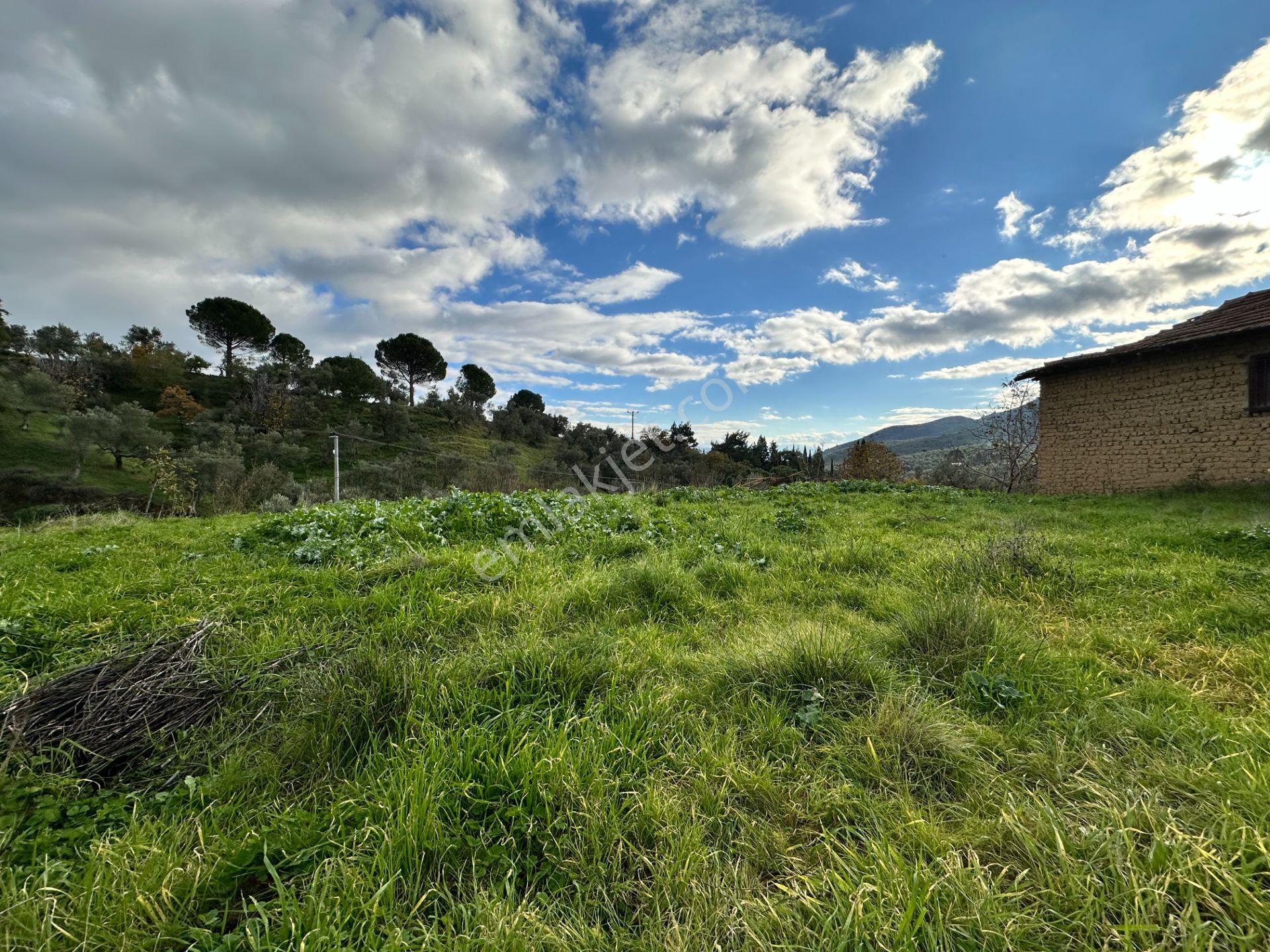 Mera Emlak'tan Dereli Köyünde 20 Villalık 2.560m2 İmarlı Arsa - Görsel 18