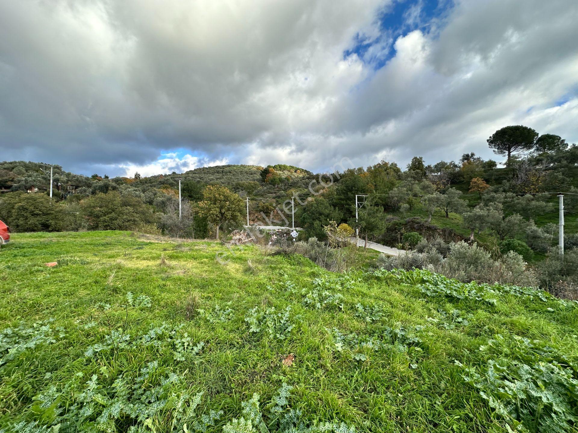 Mera Emlak'tan Dereli Köyünde 20 Villalık 2.560m2 İmarlı Arsa - Görsel 32
