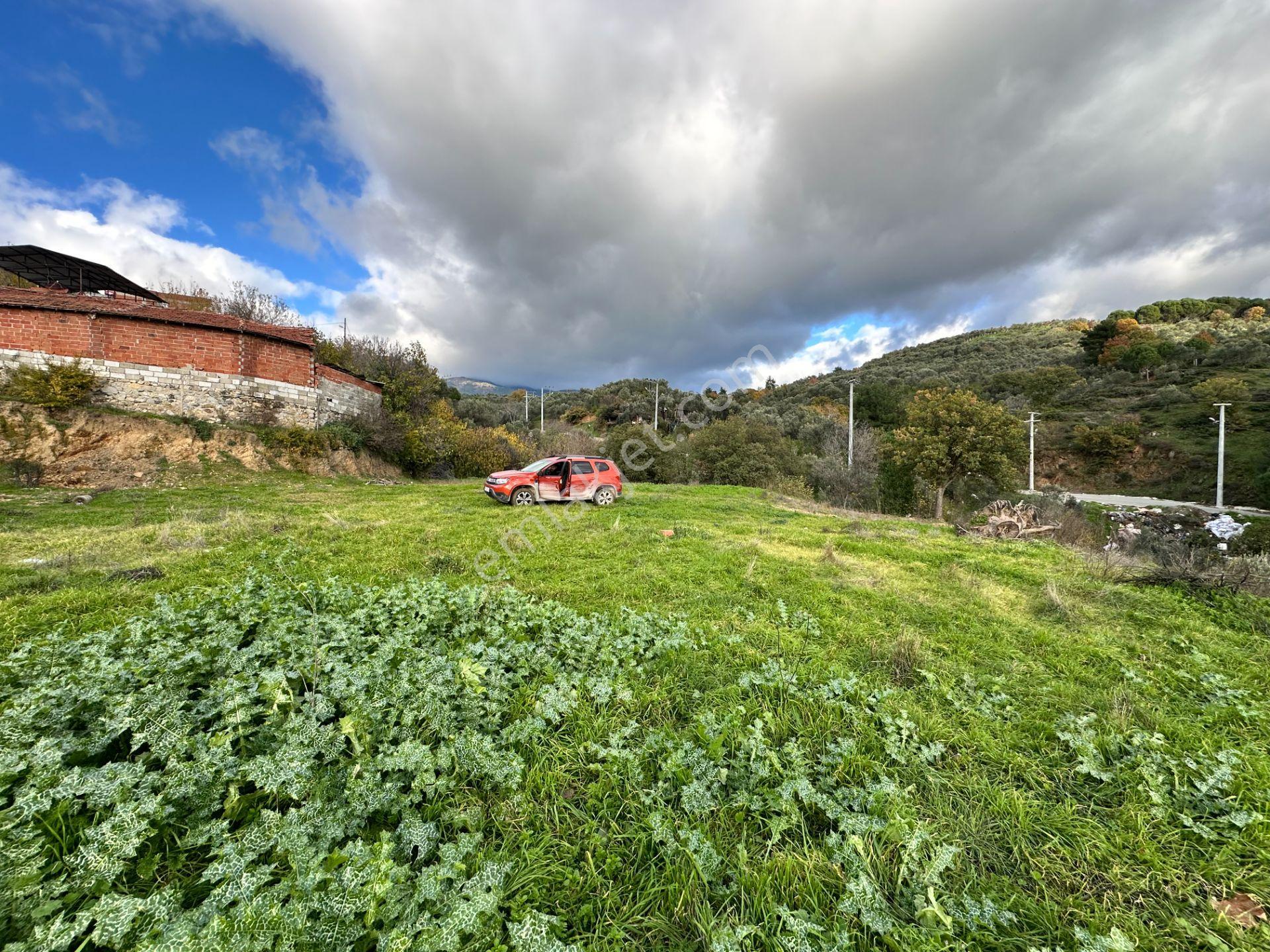 Mera Emlak'tan Dereli Köyünde 20 Villalık 2.560m2 İmarlı Arsa - Görsel 5