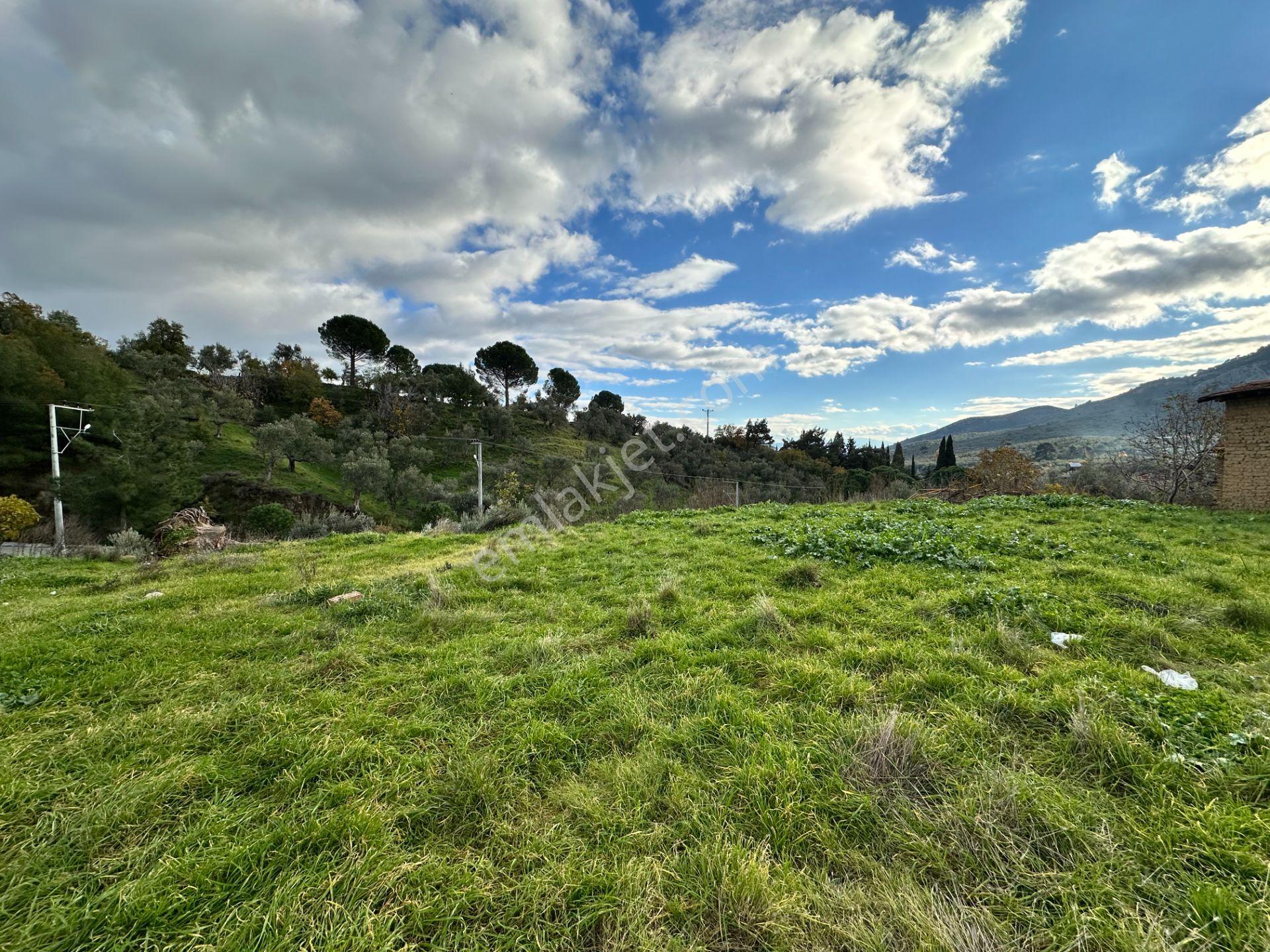 Mera Emlak'tan Dereli Köyünde 20 Villalık 2.560m2 İmarlı Arsa - Görsel 17