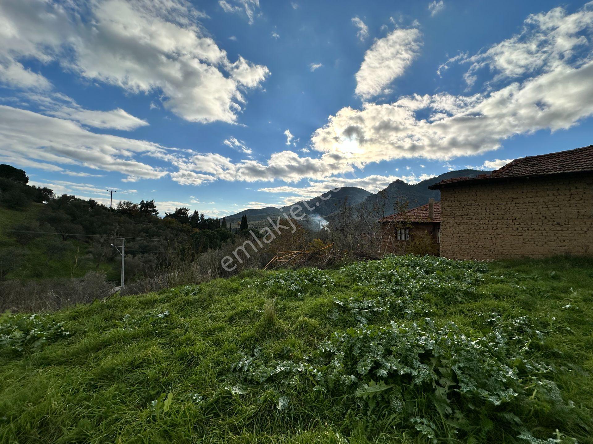 Mera Emlak'tan Dereli Köyünde 20 Villalık 2.560m2 İmarlı Arsa - Görsel 33