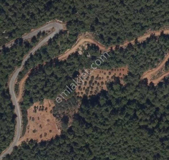 Hayal Gayrimenkulden Yatırımlık 3630 M2 Tarla - Görsel 3