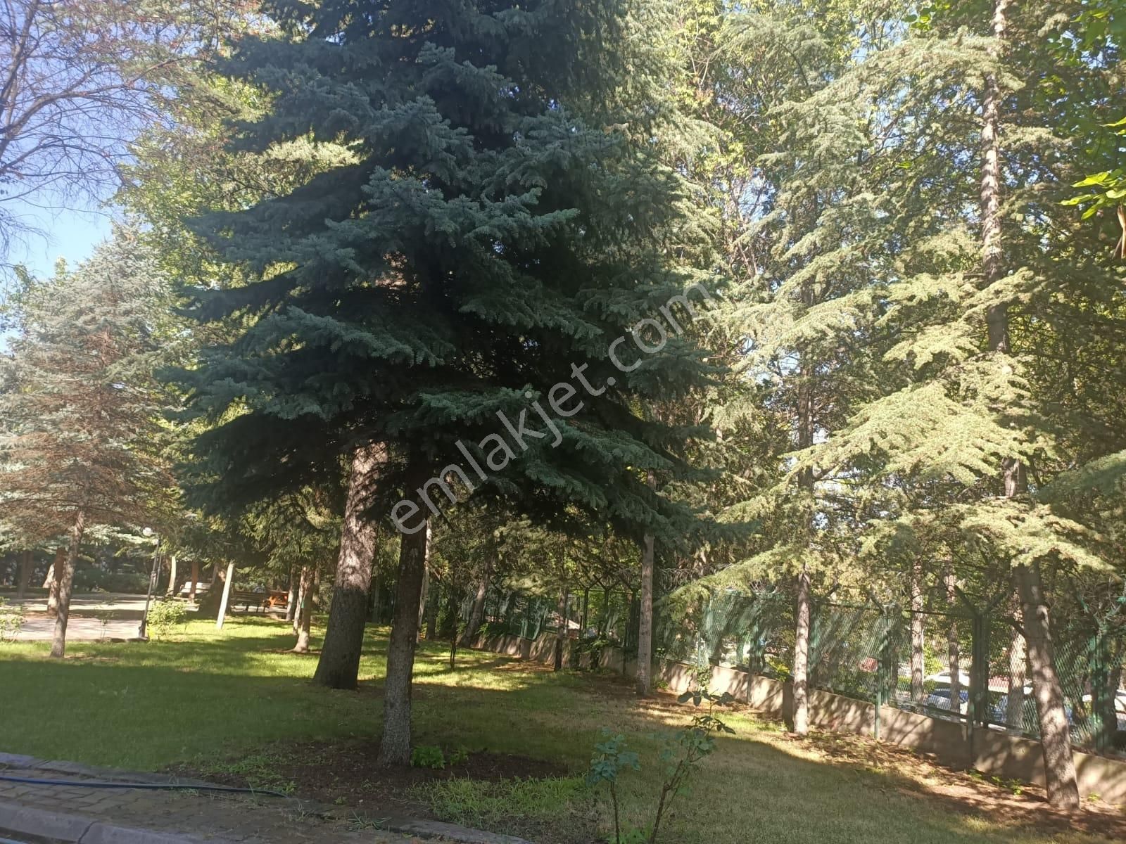 Bahçelievler 7.cadde Eser Sitesinde Katta 2+1 Satılık Daire - Görsel 19