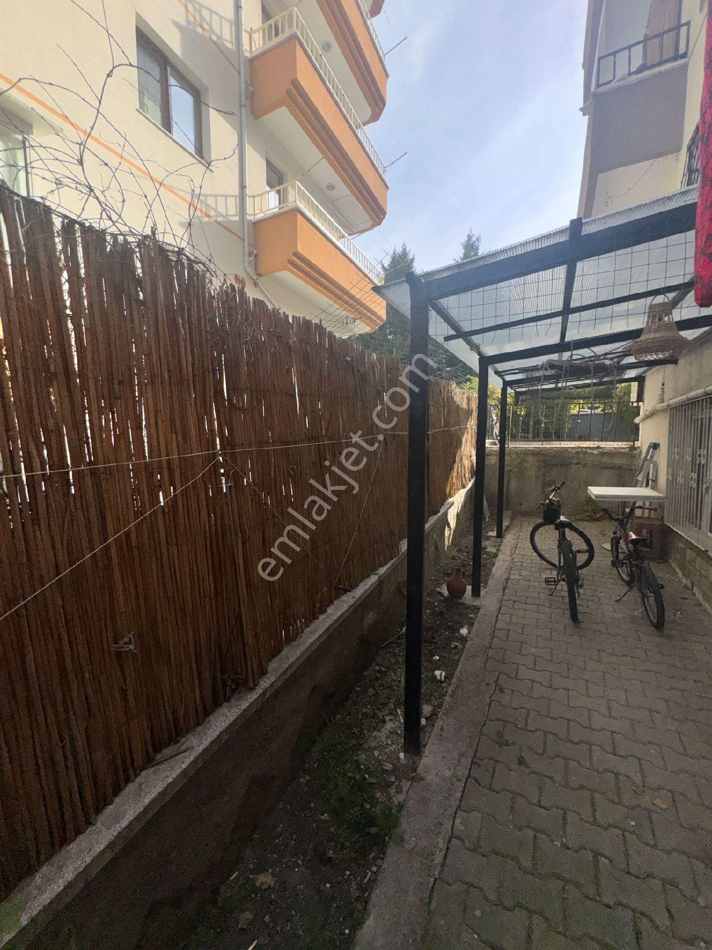 Sarılık Daire - Görsel 19