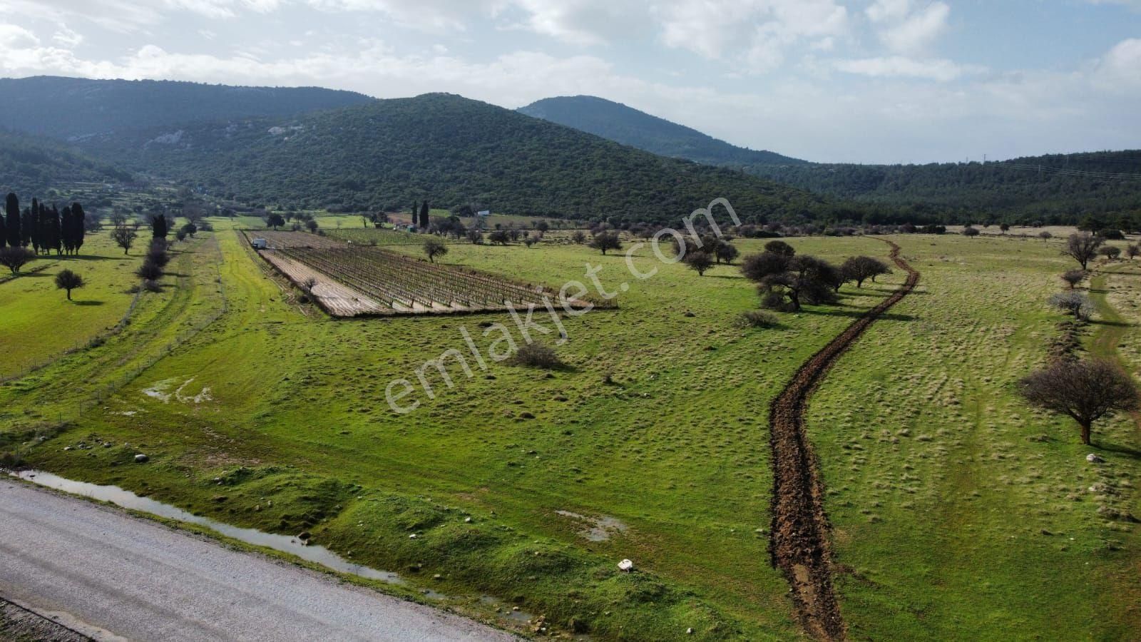 Sahibinden Satılık Tek Tapu - Görsel 4