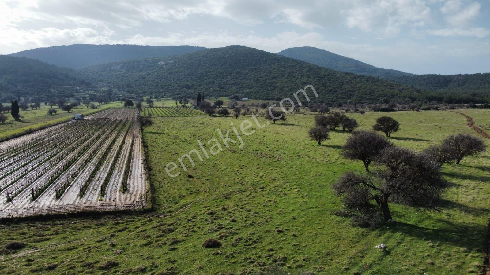 Sahibinden Satılık Tek Tapu - Görsel 5