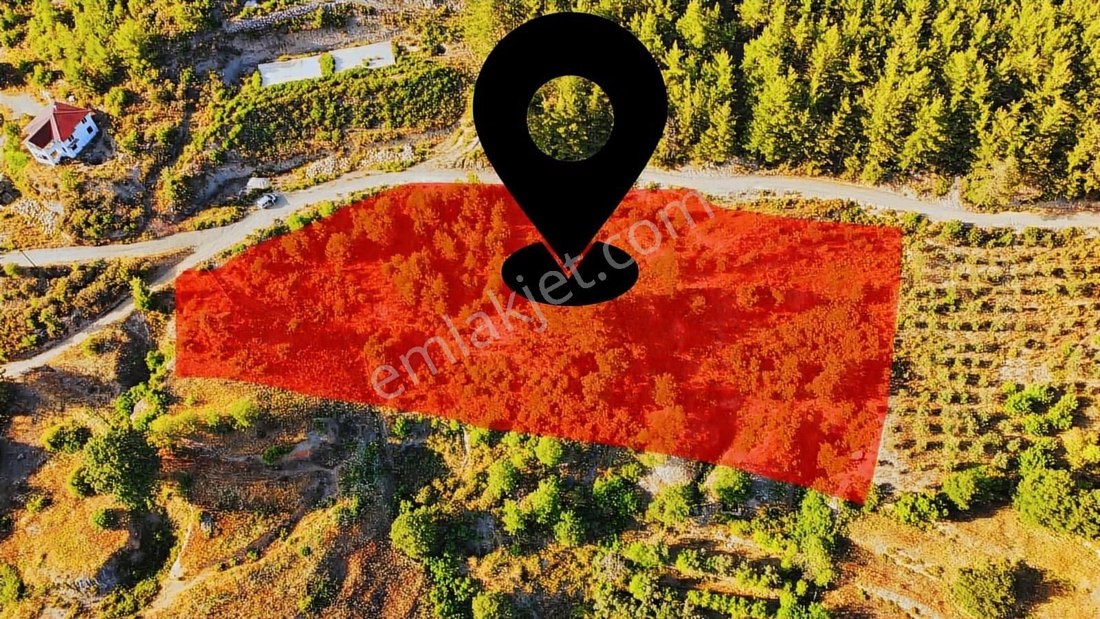 Alanya Üzümlü De Deniz, Baraj Manzaralı 1300 M2 Fırsat Tarla - Görsel 7