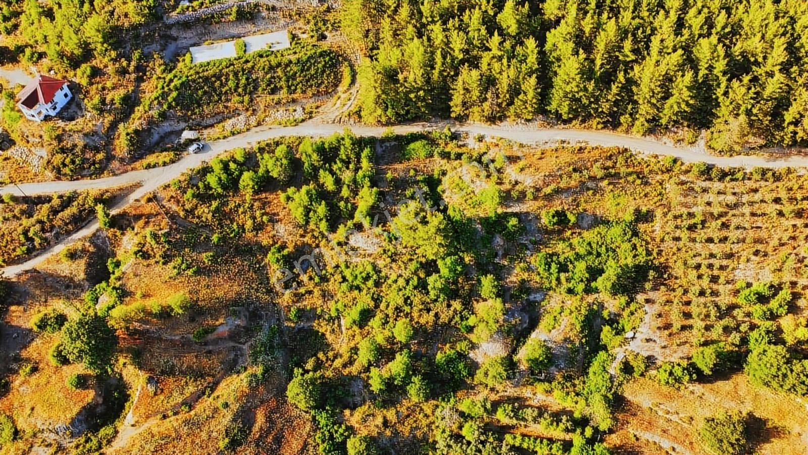 Alanya Üzümlü De Deniz, Baraj Manzaralı 1300 M2 Fırsat Tarla - Görsel 24