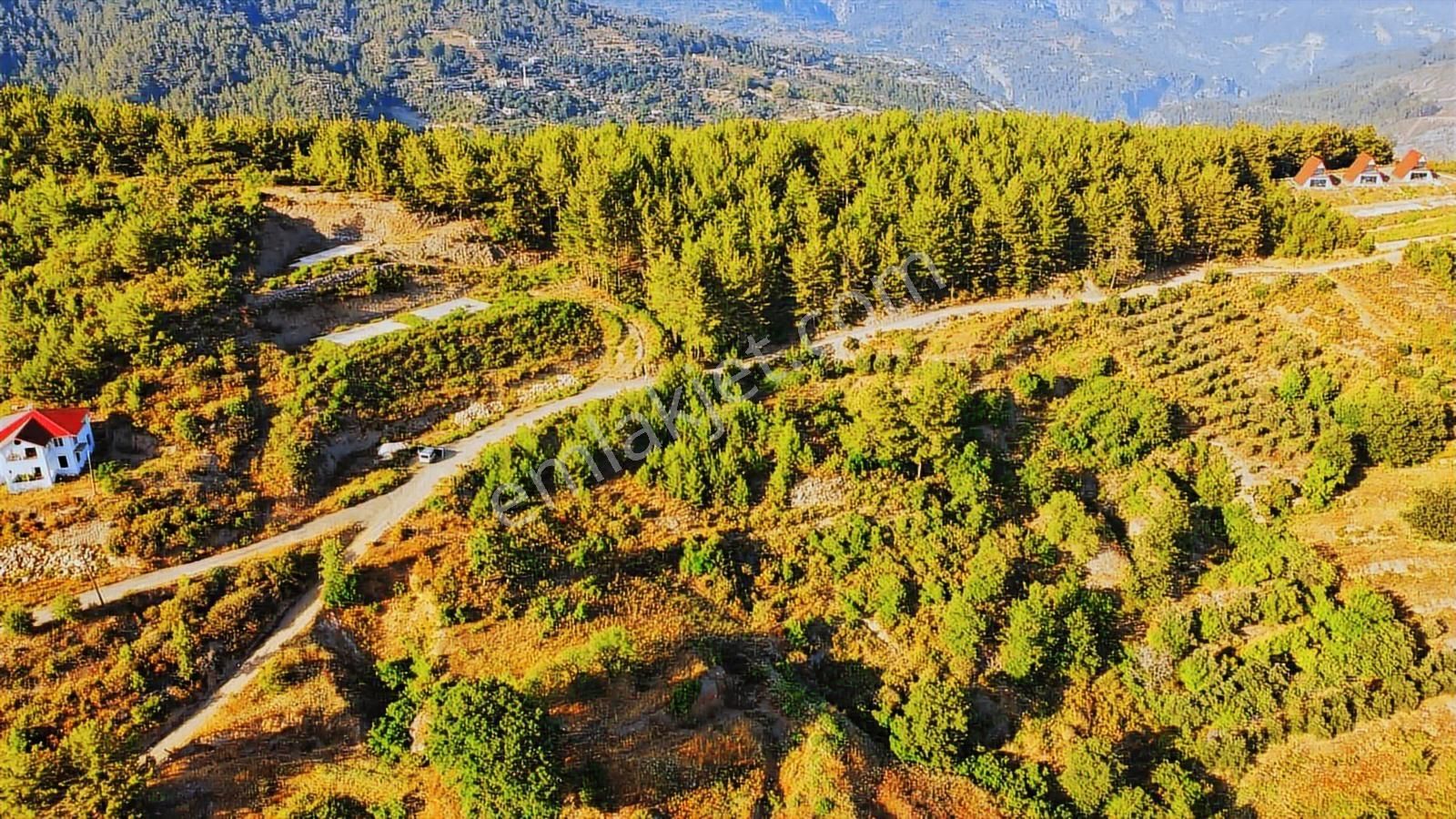 Alanya Üzümlü De Deniz, Baraj Manzaralı 1300 M2 Fırsat Tarla - Görsel 11