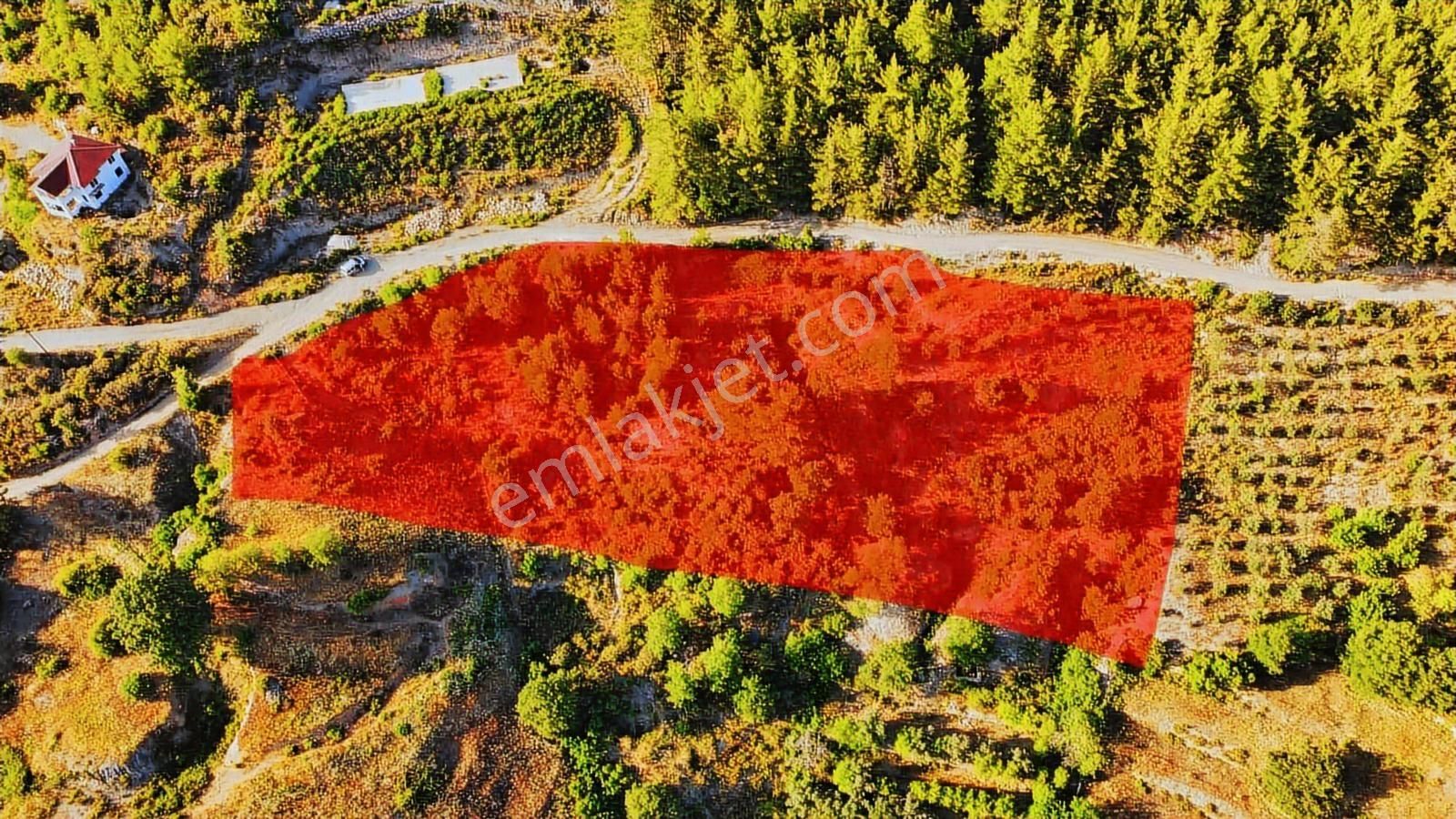 Alanya Üzümlü De Deniz, Baraj Manzaralı 1300 M2 Fırsat Tarla - Görsel 27