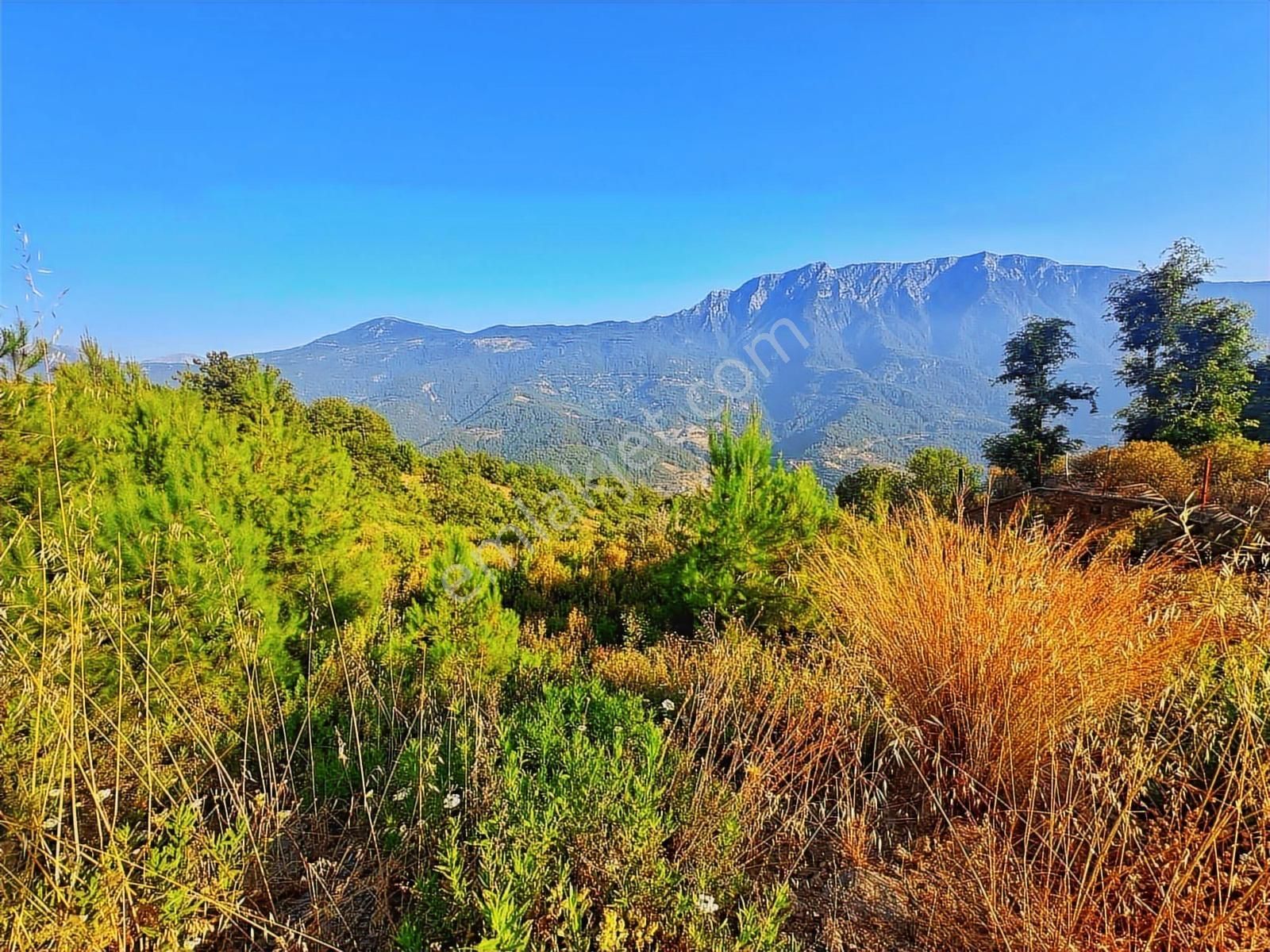 Alanya Üzümlü De Deniz, Baraj Manzaralı 1300 M2 Fırsat Tarla - Görsel 19