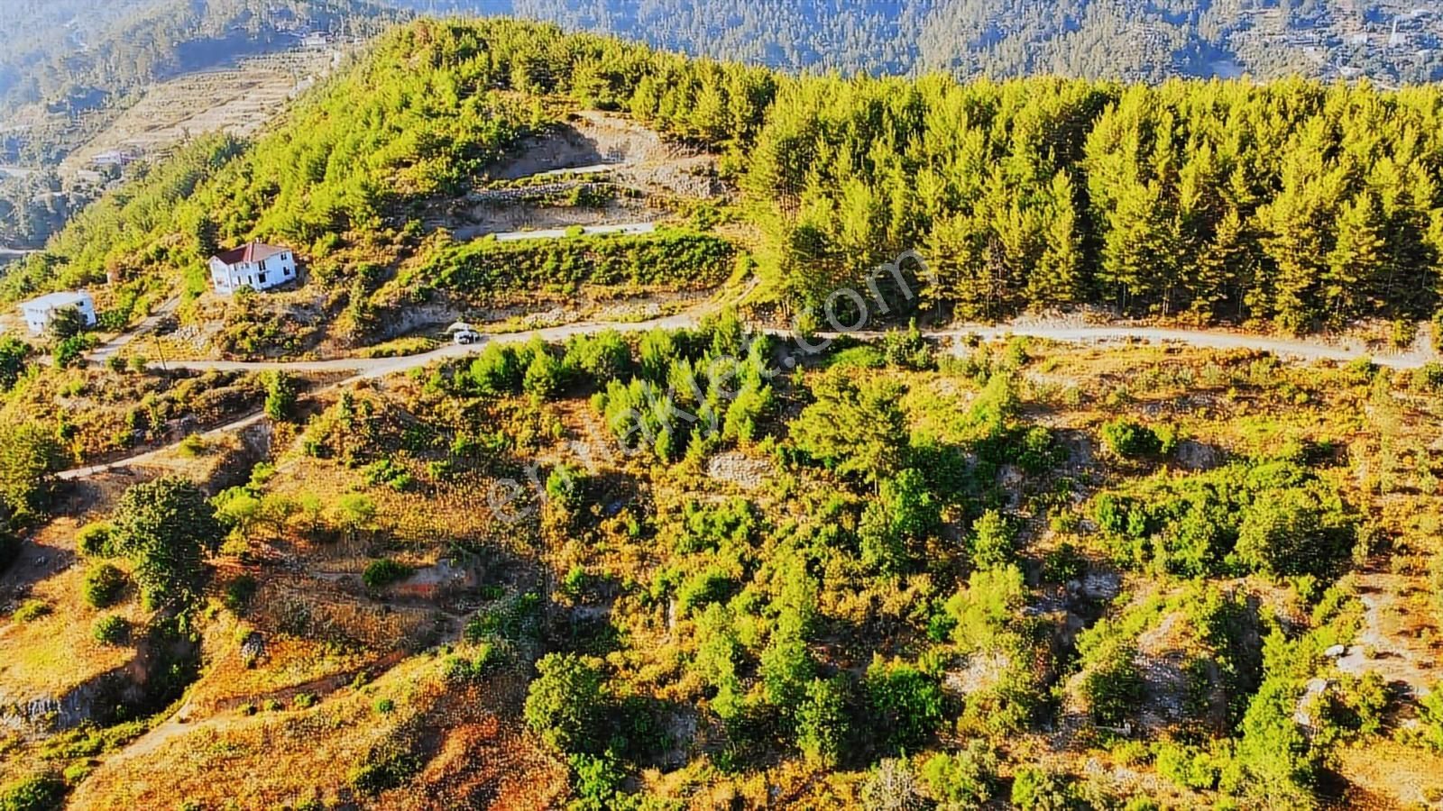 Alanya Üzümlü De Deniz, Baraj Manzaralı 1300 M2 Fırsat Tarla - Görsel 23