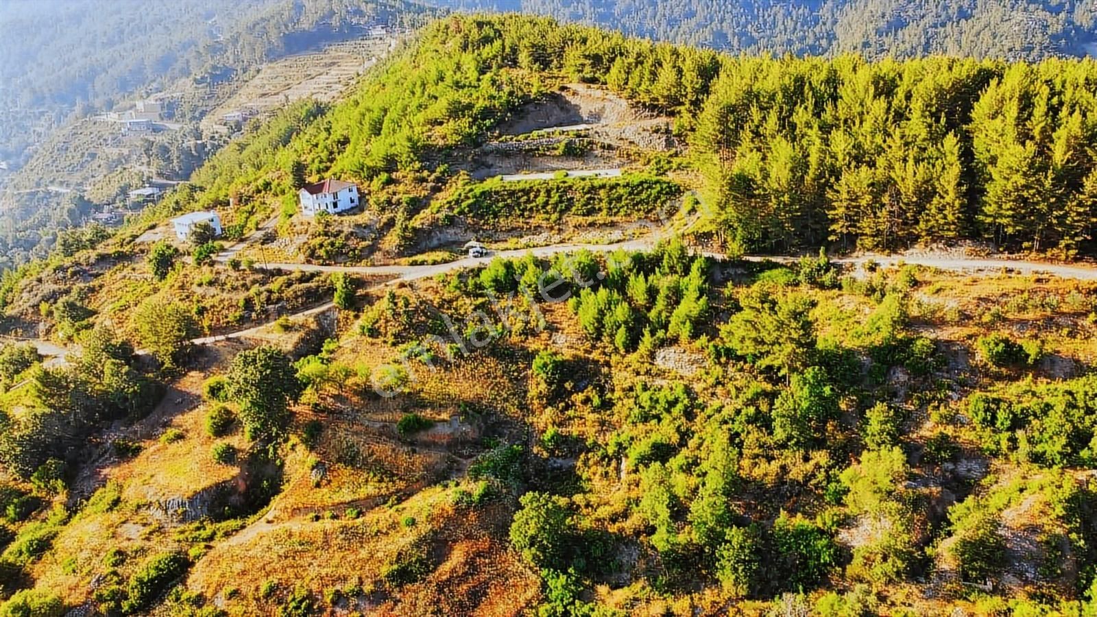 Alanya Üzümlü De Deniz, Baraj Manzaralı 1300 M2 Fırsat Tarla - Görsel 26