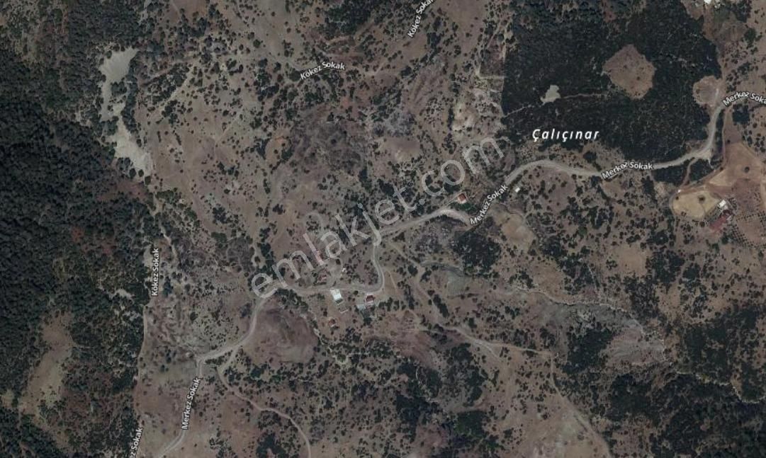 Satılık Yarbaşçandır'da Fırsat Tarla 12.465,31 M2