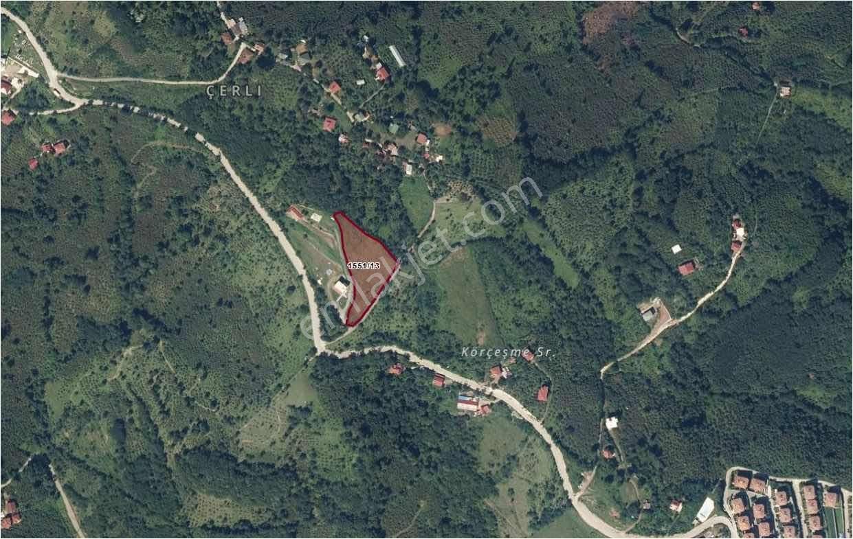 Ordu Perşembe Çerli Mahallesinde 5,5 Dönüm Deniz Manzaralı Arsa - Görsel 3
