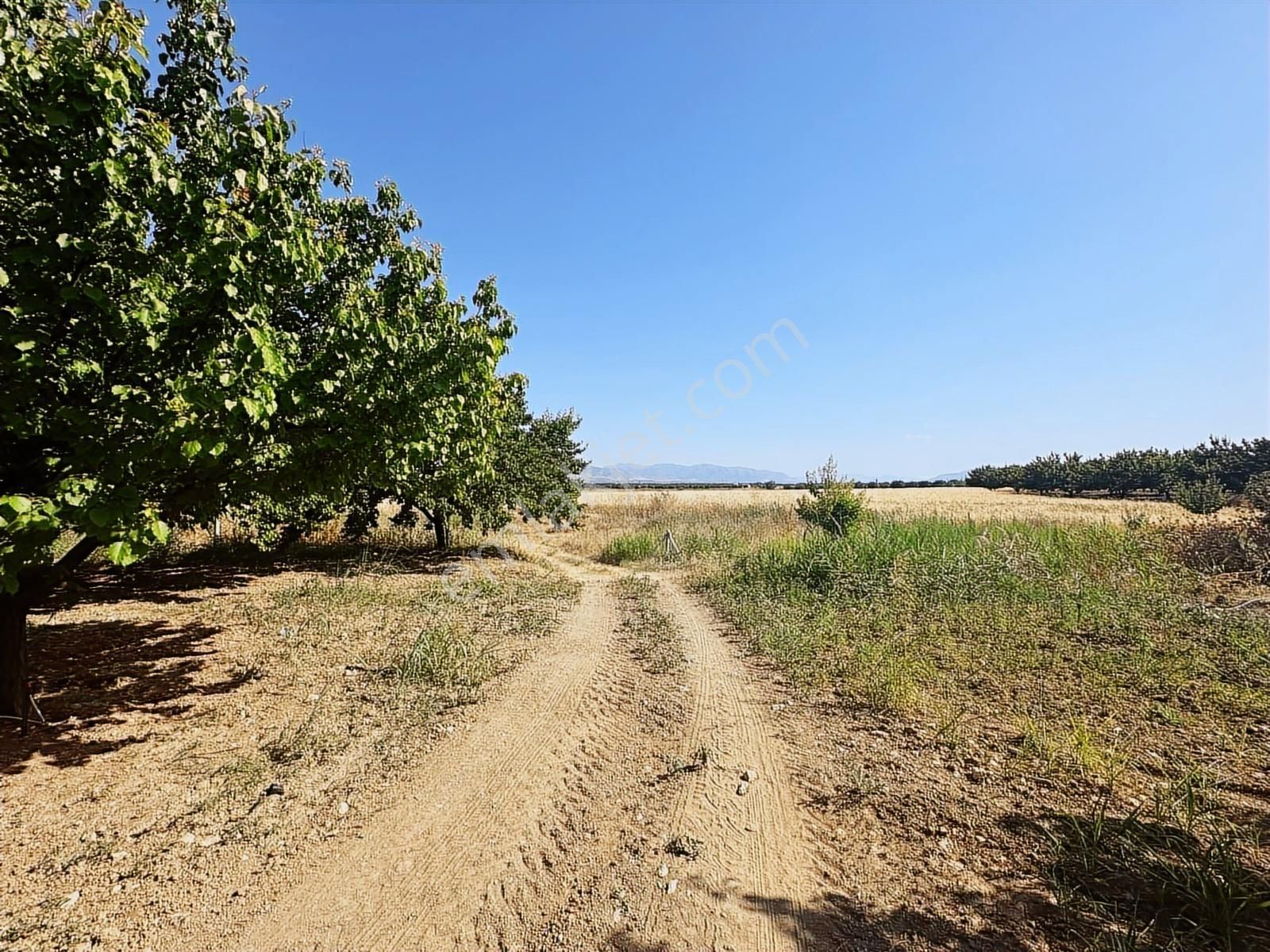Cb Safir'den Akçadağ Da 17.500 Dönüm Satılık Kayısı Bahçesi - Görsel 3