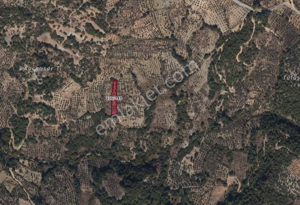 Hayal Gayrimenkulden Denizova'da Satılık 1527 M2 Tarla