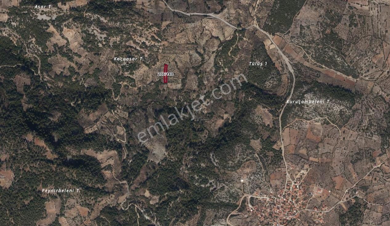 Hayal Gayrimenkulden Denizova'da Satılık 1527 M2 Tarla - Görsel 2