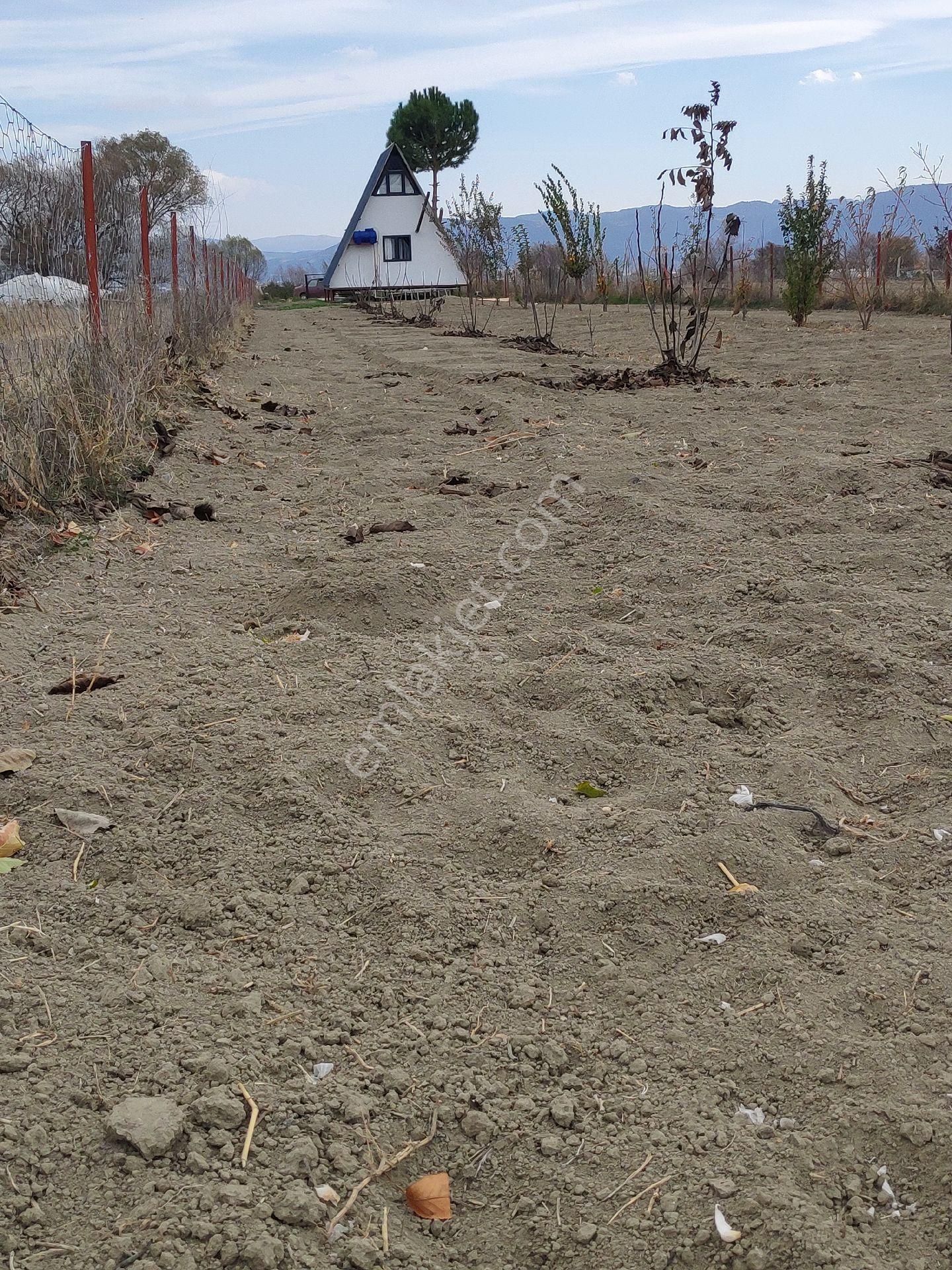 Gölhisar Armutlu 1 Dönüm Bungalov Ev Ve Tarla - Görsel 2